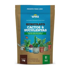 Substrato para Cactos e Suculentas (1KG) MR.SPIKE