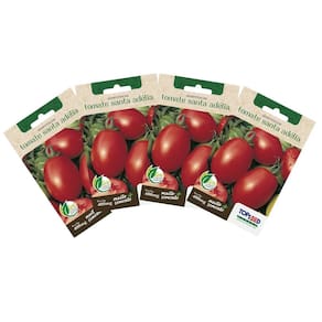 4X Sementes de Tomate Santa Adélia TOPSEED