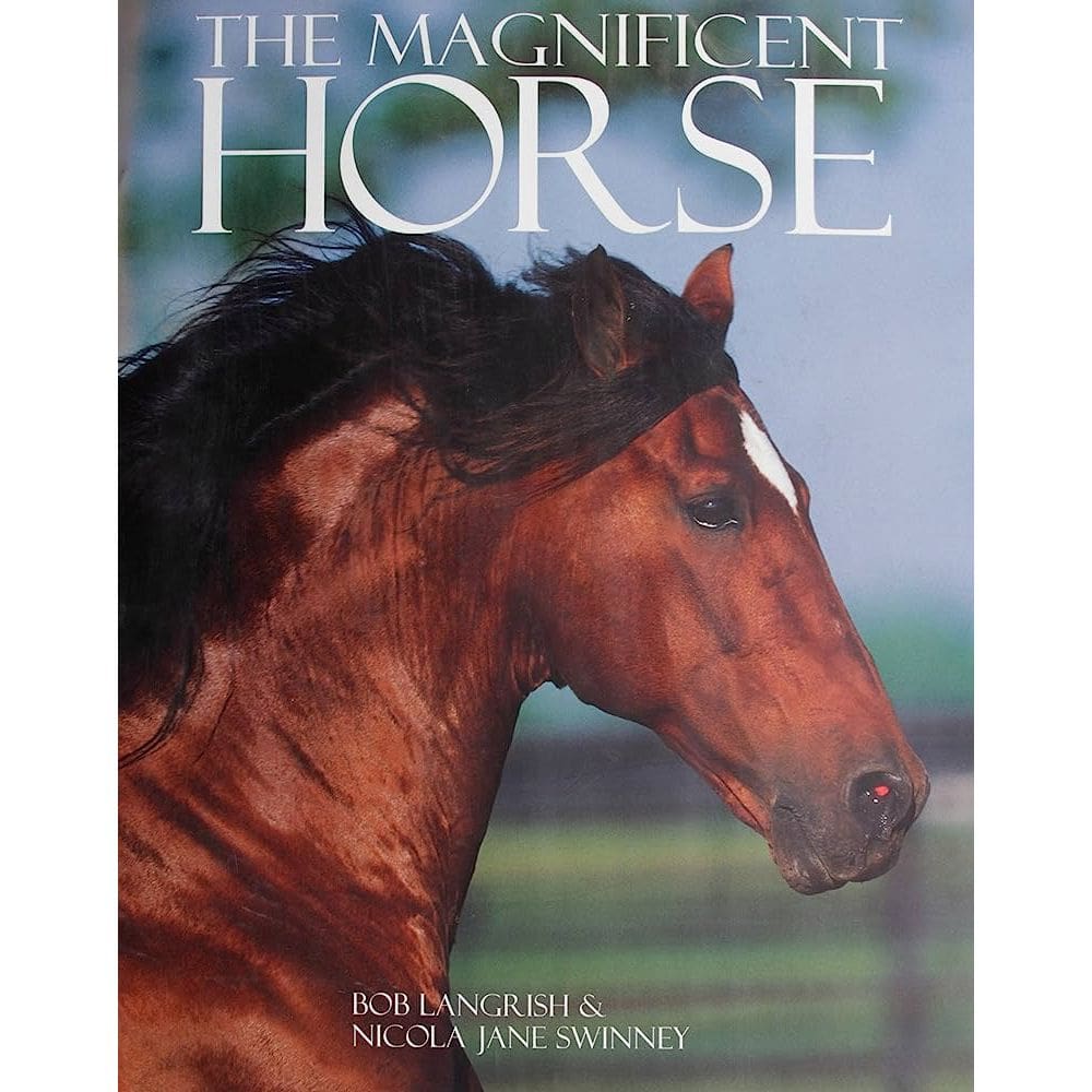 Magnificent Horse