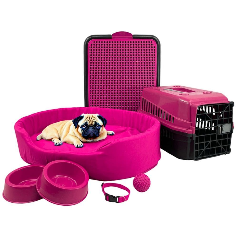 Kit Pet Médio Cama Europa Sanitário Transporte Acessórios