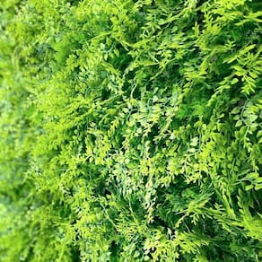 Jardim Vertical Amazonia Gg009a Pack 4pç / 1m² Amazônia