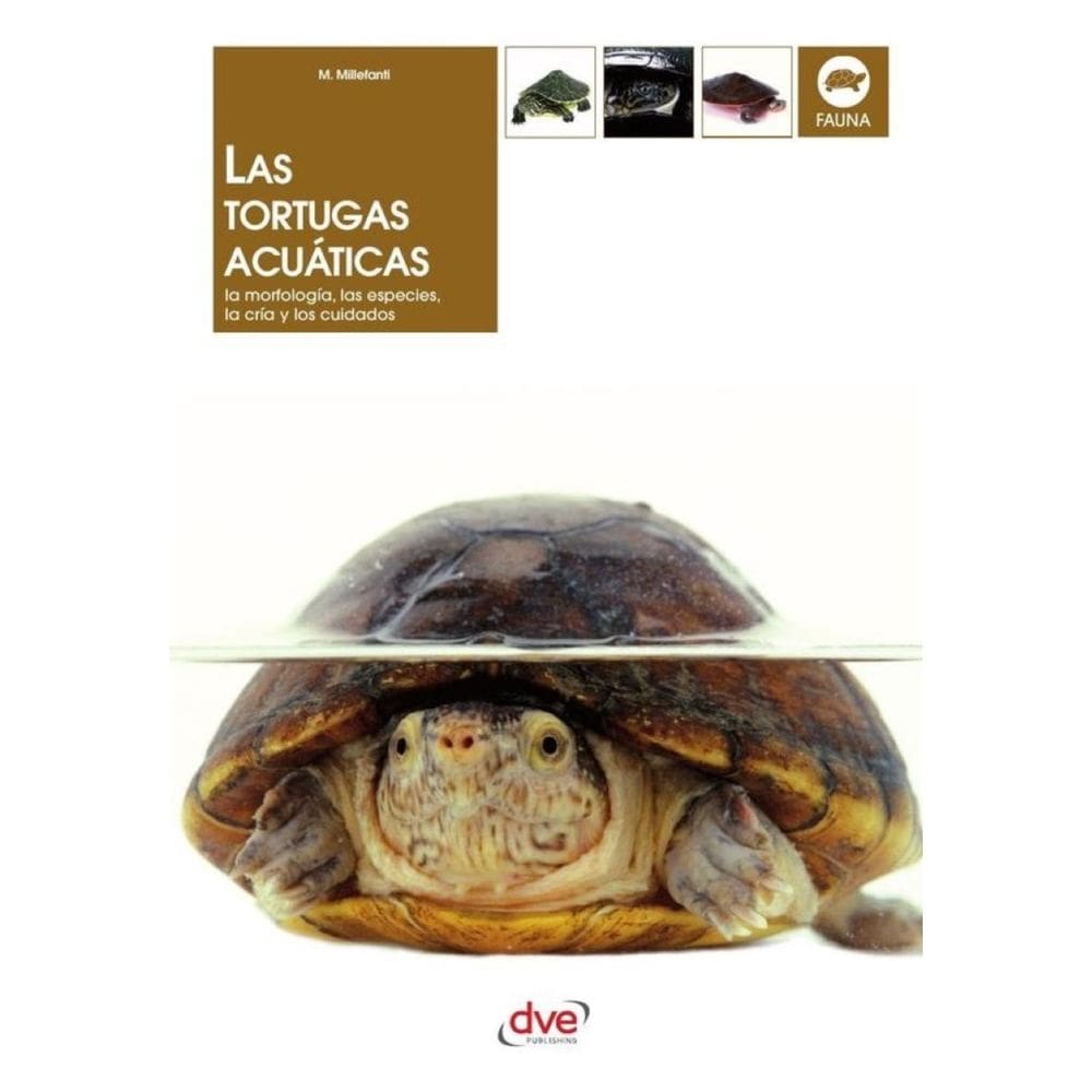 Las tortugas acuáticas - Espanhol