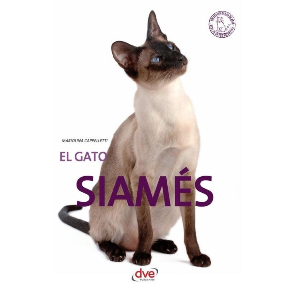 El gato siamés - Espanhol