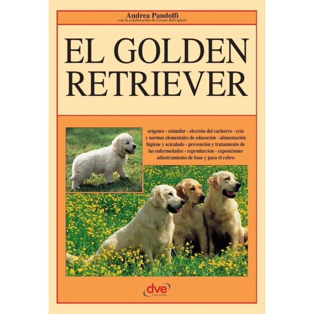 El Golden retriever - Espanhol