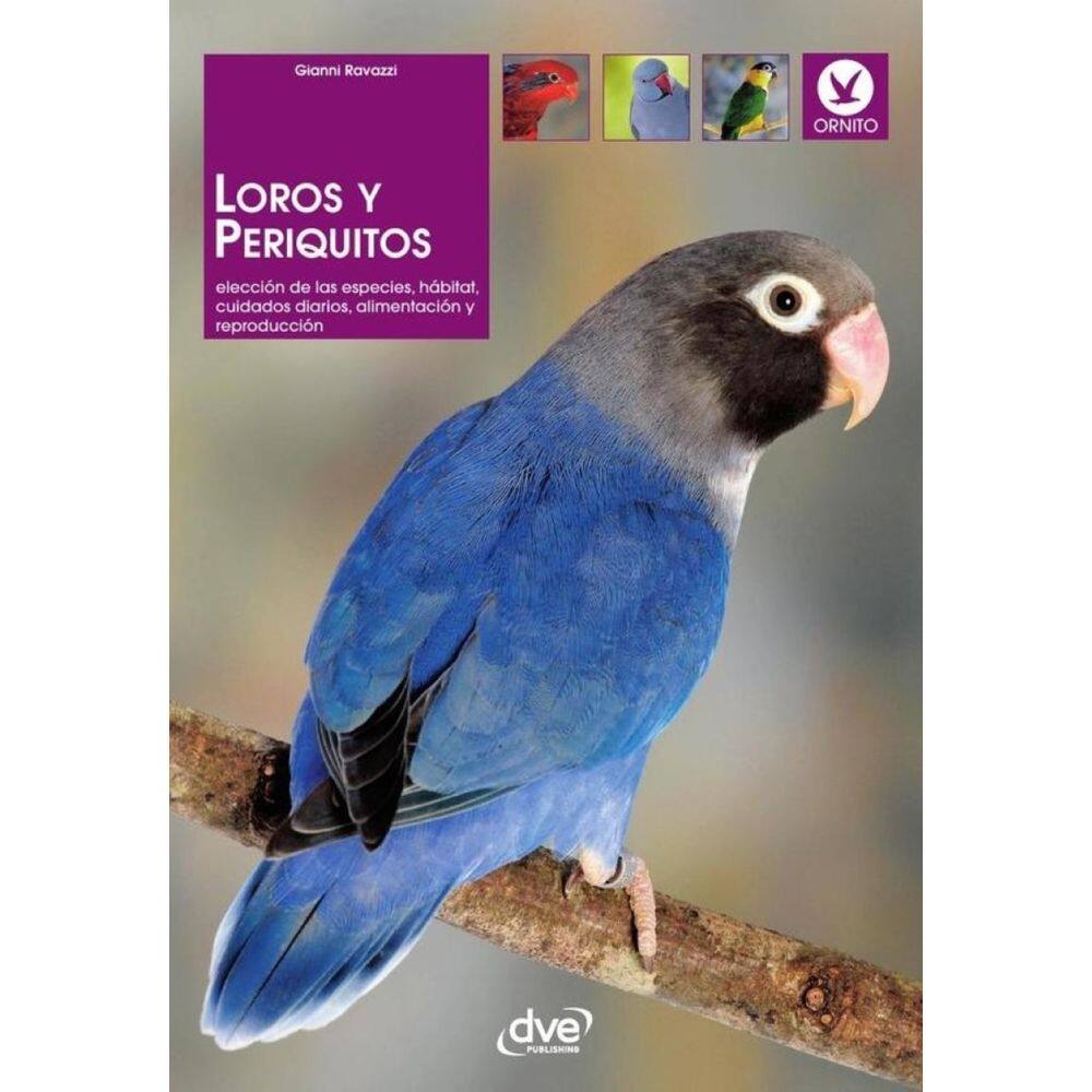 Loros y periquitos - Espanhol