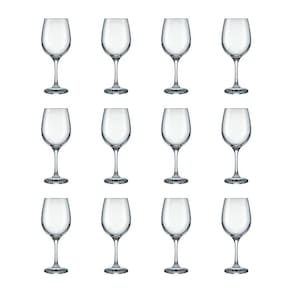 Jogo 12 Taças Champagne Cristal Barone 490ml - Nadir