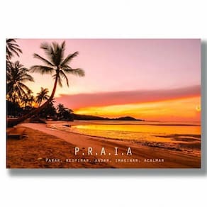 Kit 4 Placas Decorativas 20 X 30 Cm - Coleção Mar 3