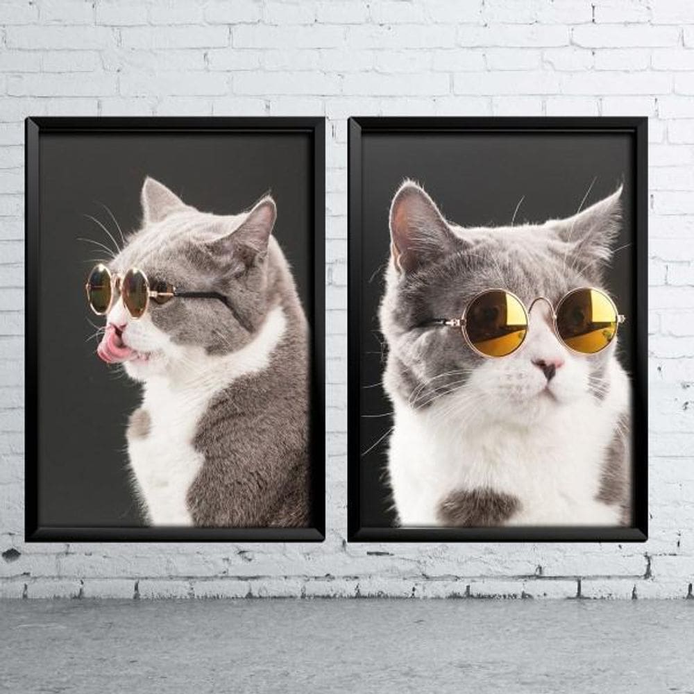 Kit De 2 Quadros Gato De Óculos A4