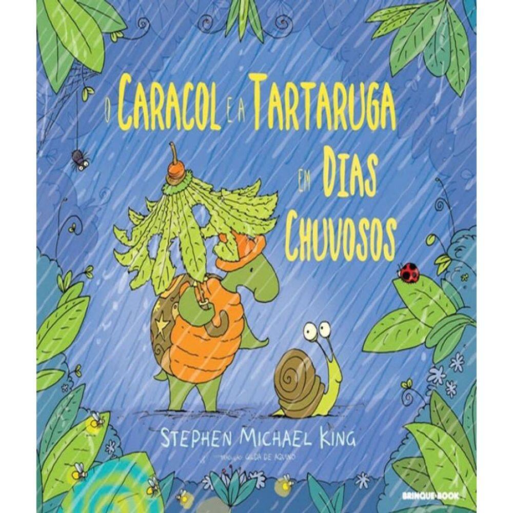 Livro Caracol E A Tartaruga Em Dias Chuvosos, O