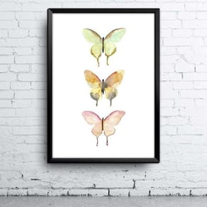 Quadro Borboletas A4