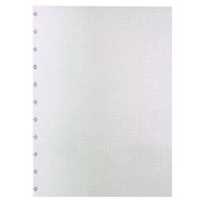 Refil Caderno Intel. Grande Quadriculado 90g 50 Folhas