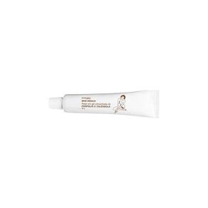 Pasta Em Gel Com Própolis Bom Médico Abelha Rainha 30G