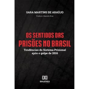 Os Sentidos das Prisões no Brasil: tendências do sistema prisional após o golpe de 2016