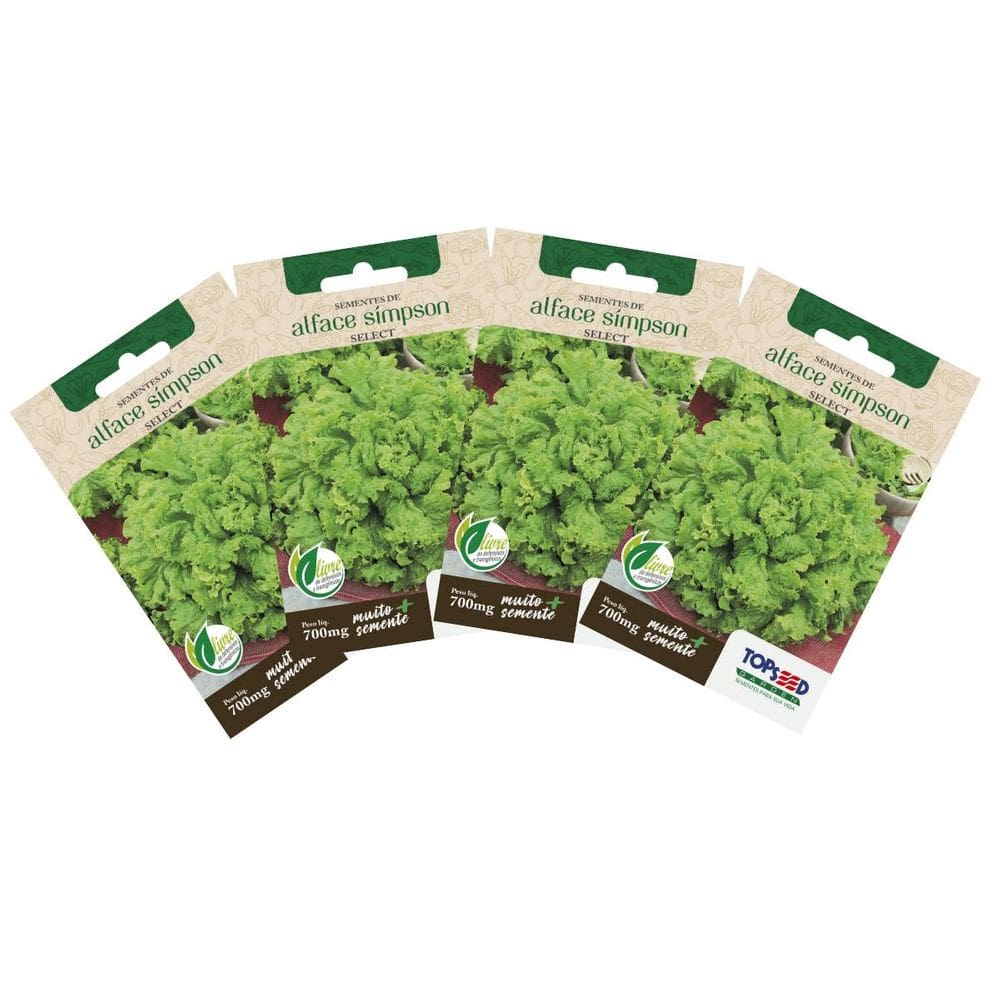 4X Sementes de Alface Crespa Simpson Select TOPSEED