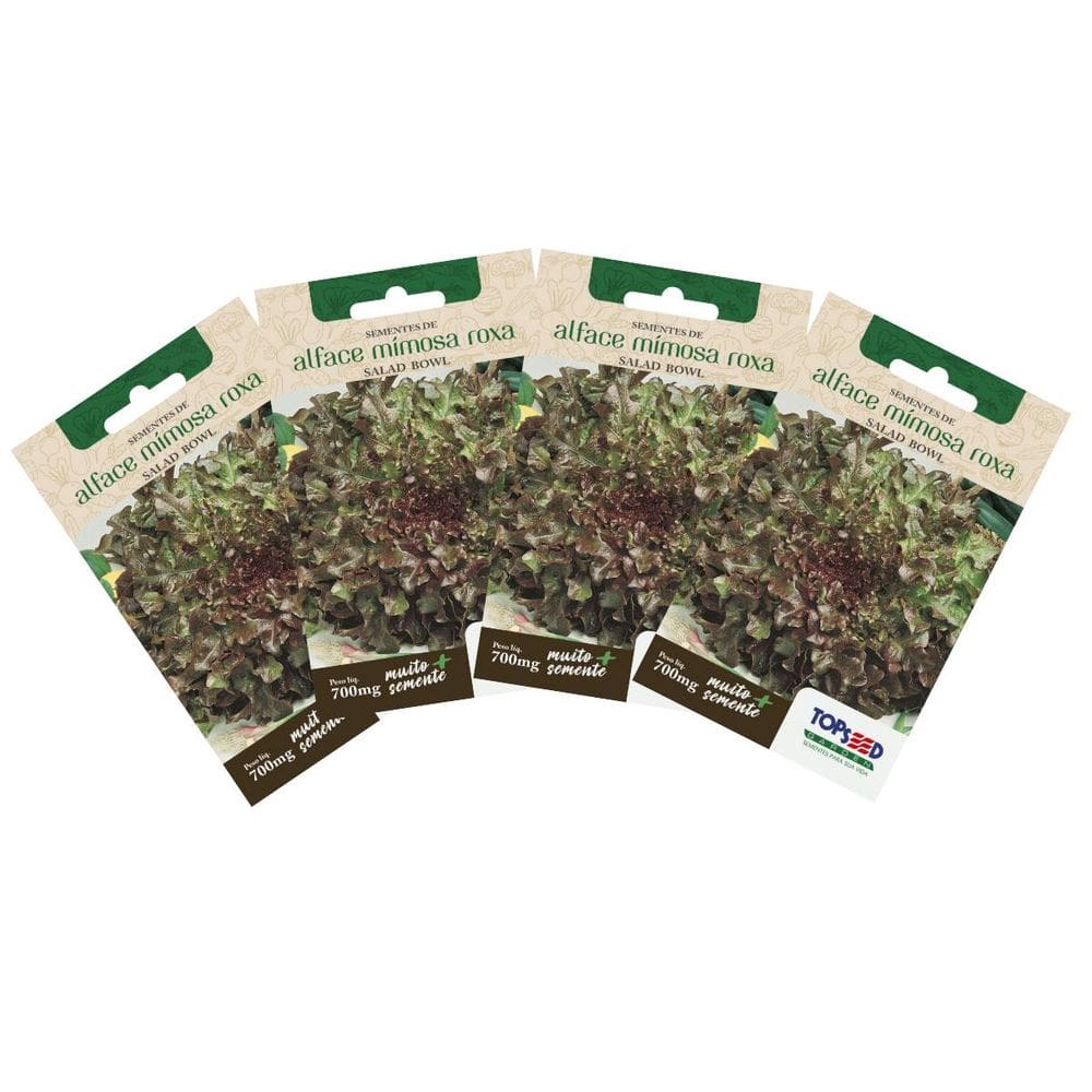 4X Sementes de Alface Mimosa Roxa TOPSEED