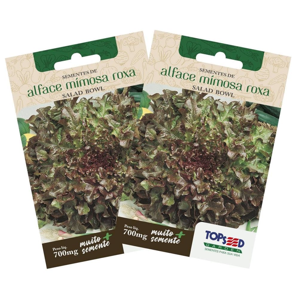 2X Sementes de Alface Mimosa Roxa TOPSEED