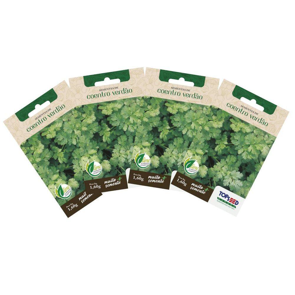 4X Sementes de Coentro Verdão TOPSEED