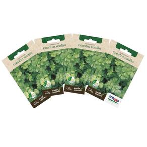 4X Sementes de Coentro Verdão TOPSEED