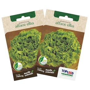2X Sementes de Alface Crespa Elba TOPSEED