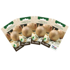 4X Sementes de Cebola Texas Early Grano 502 TOPSEED
