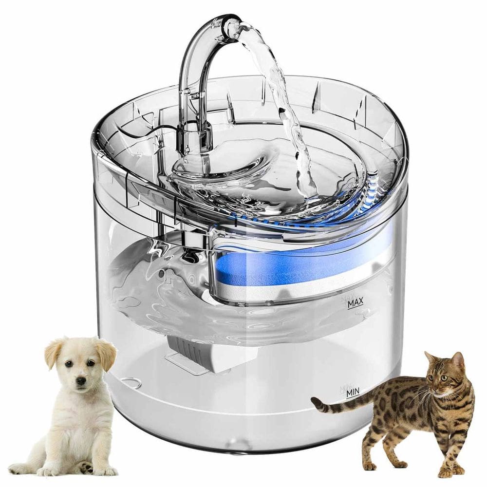 Bebedouro Fonte de Agua Cao Pet Gato Cachorro Animal de Estimaçao Reservatorio 2 Litros