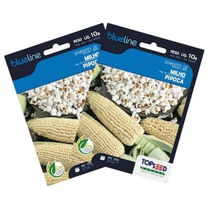 2X Sementes de Milho de Pipoca Blueline TOPSEED