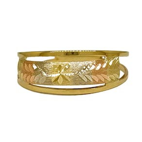 Anel Em Ouro 10k 416 Meia Cana 7 Cores