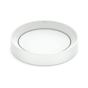 Cuba de Apoio Celite D5 40X45 Oval Branca