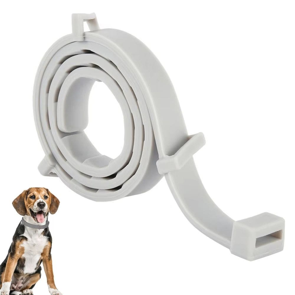 Coleria Anti Pulga Cao Gato Cachorro Pet Leishmaniose Carrapato Felino Canino Tamanho Ajustavel Resistente Proteçao Eficaz Segurança