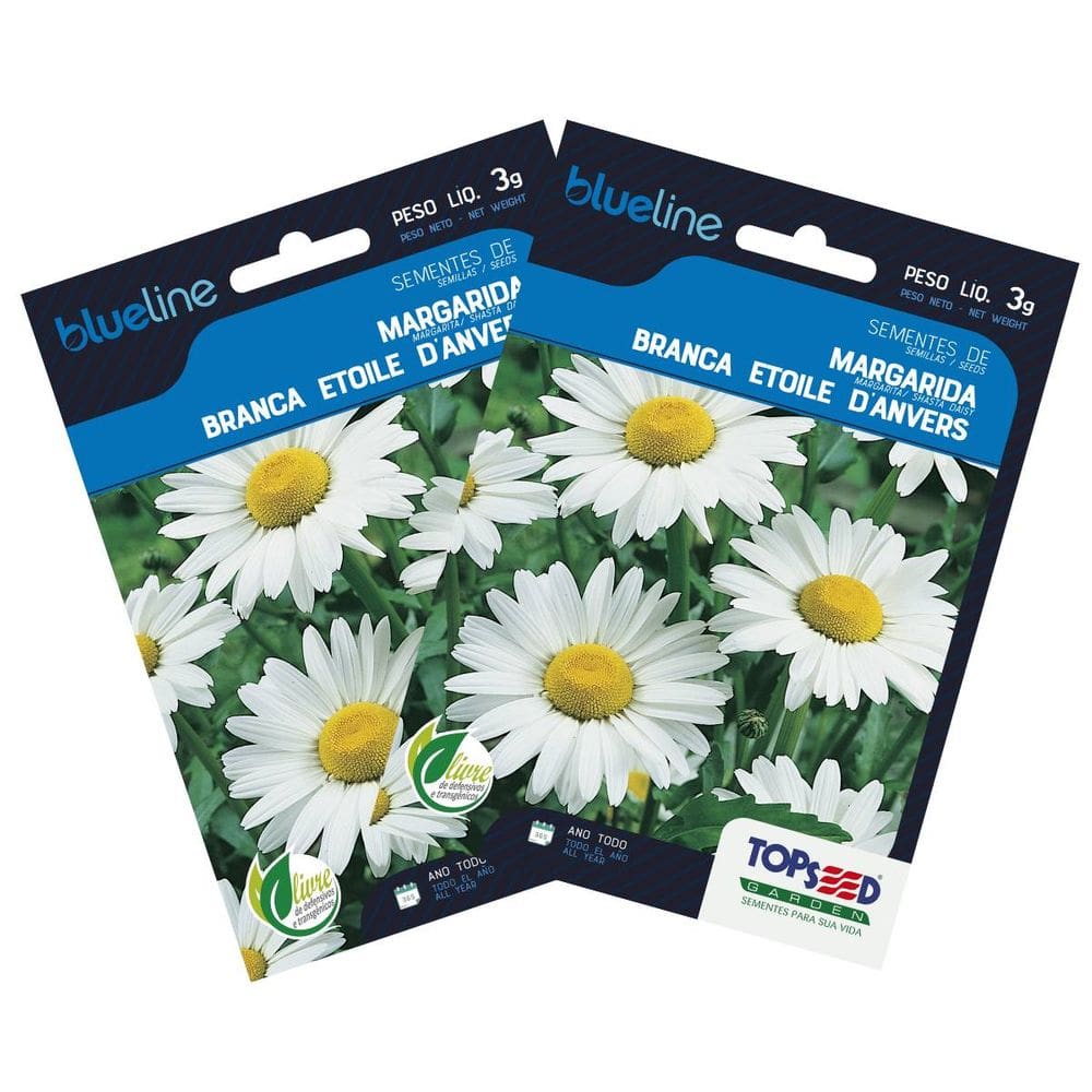 2X Sementes de Margarida Branca Blueline TOPSEED