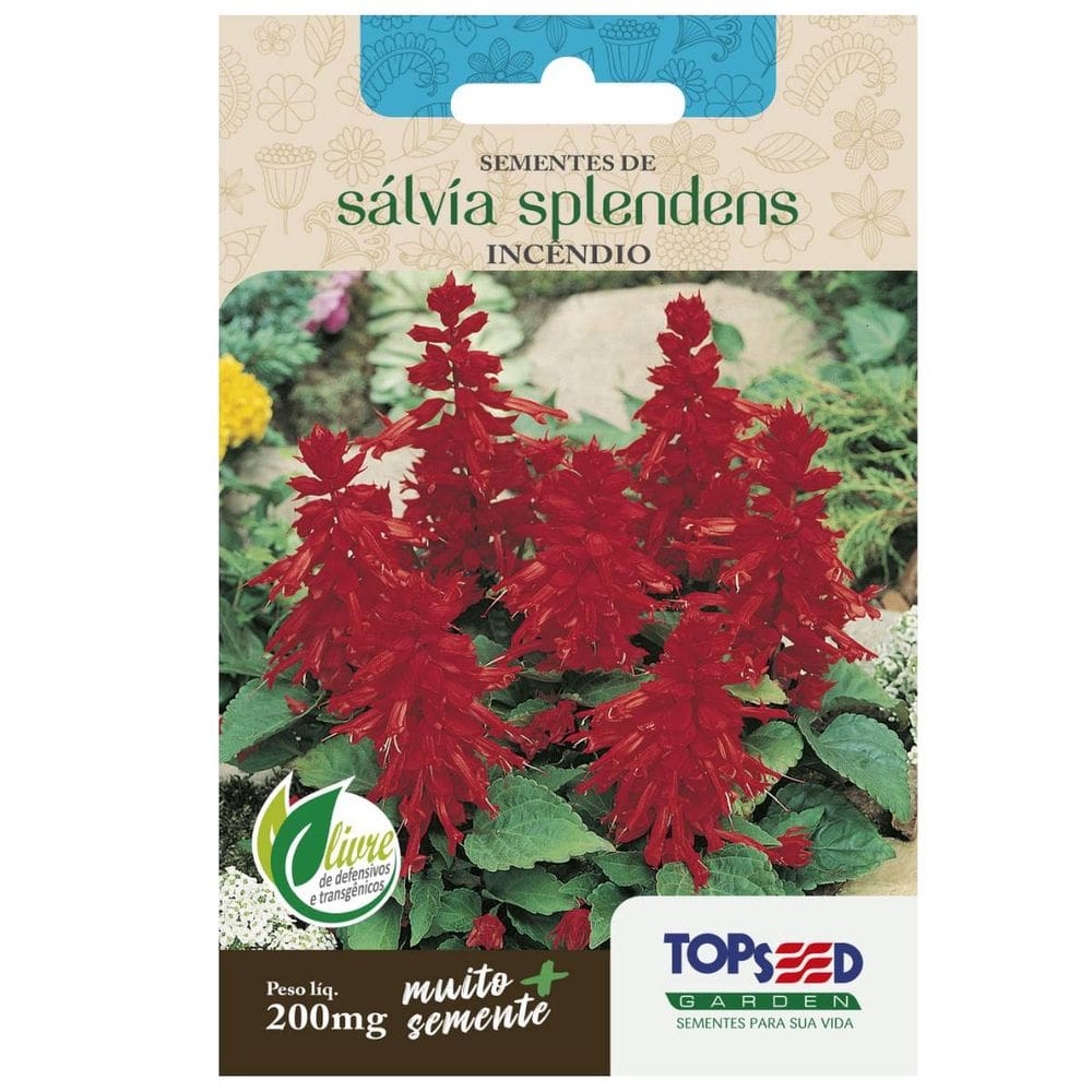 Sementes de Sálvia Splenders Incêndio TOPSEED