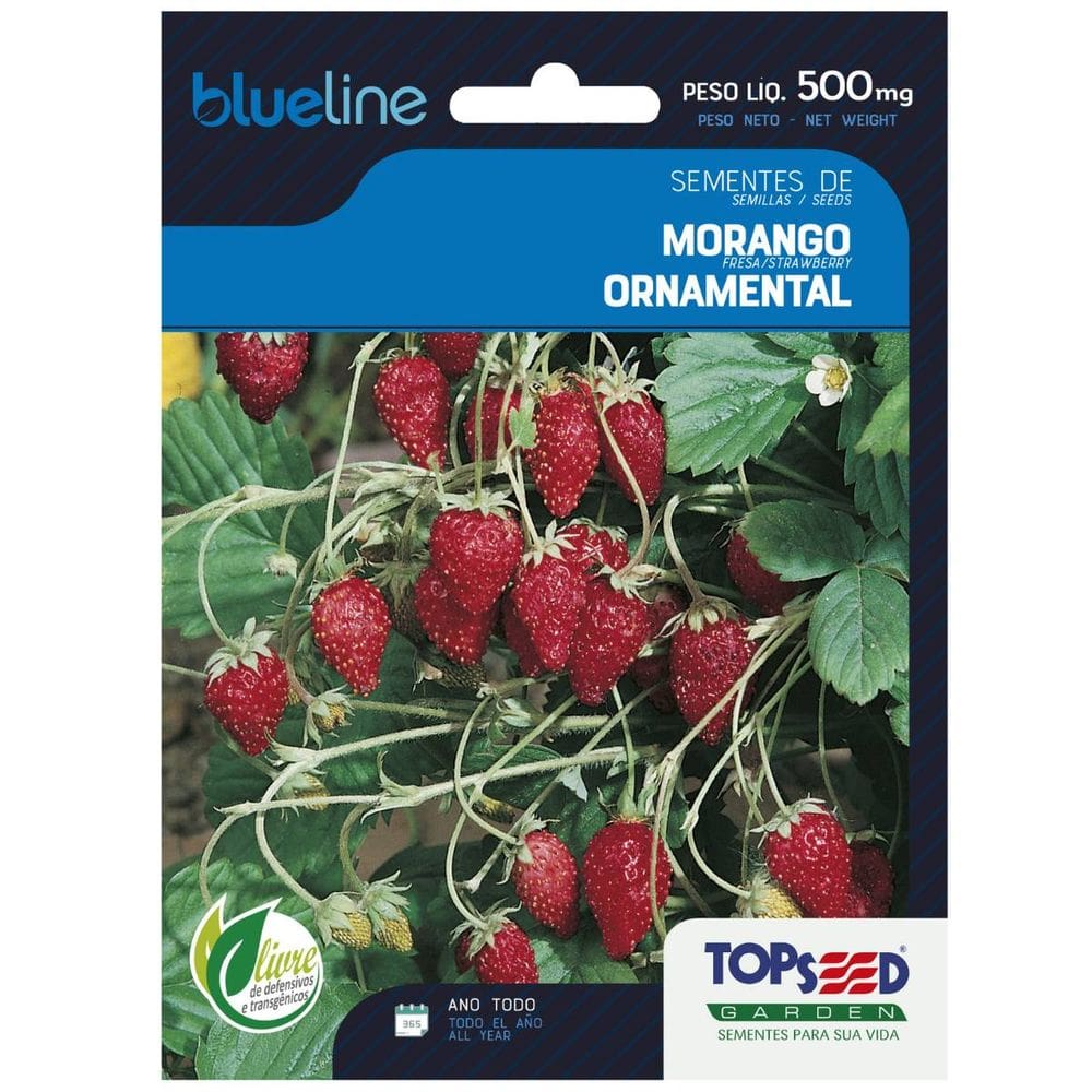 Sementes de Morango Ornamental Blueline TOPSEED