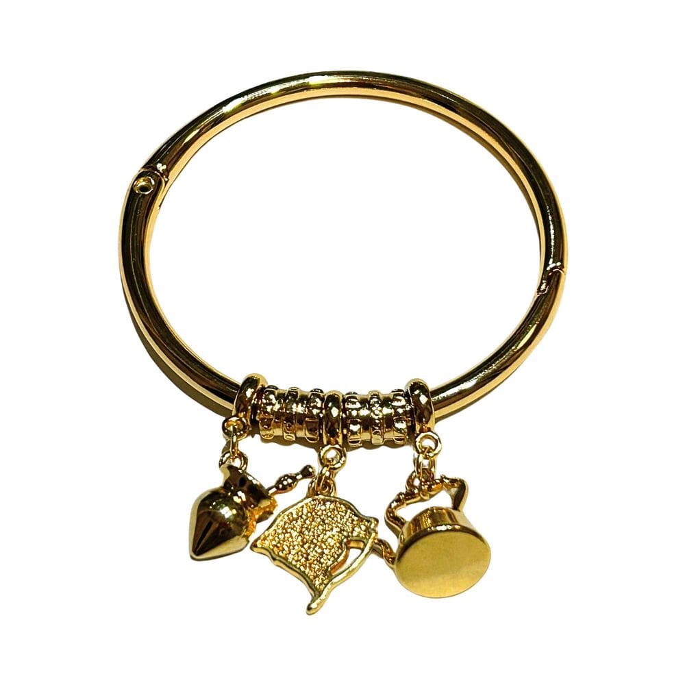 Bracelete Berloques Rio Grande do Sul - Banhado em Ouro 18k