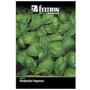 Sementes de Manjericão Fragranza FELTRIN
