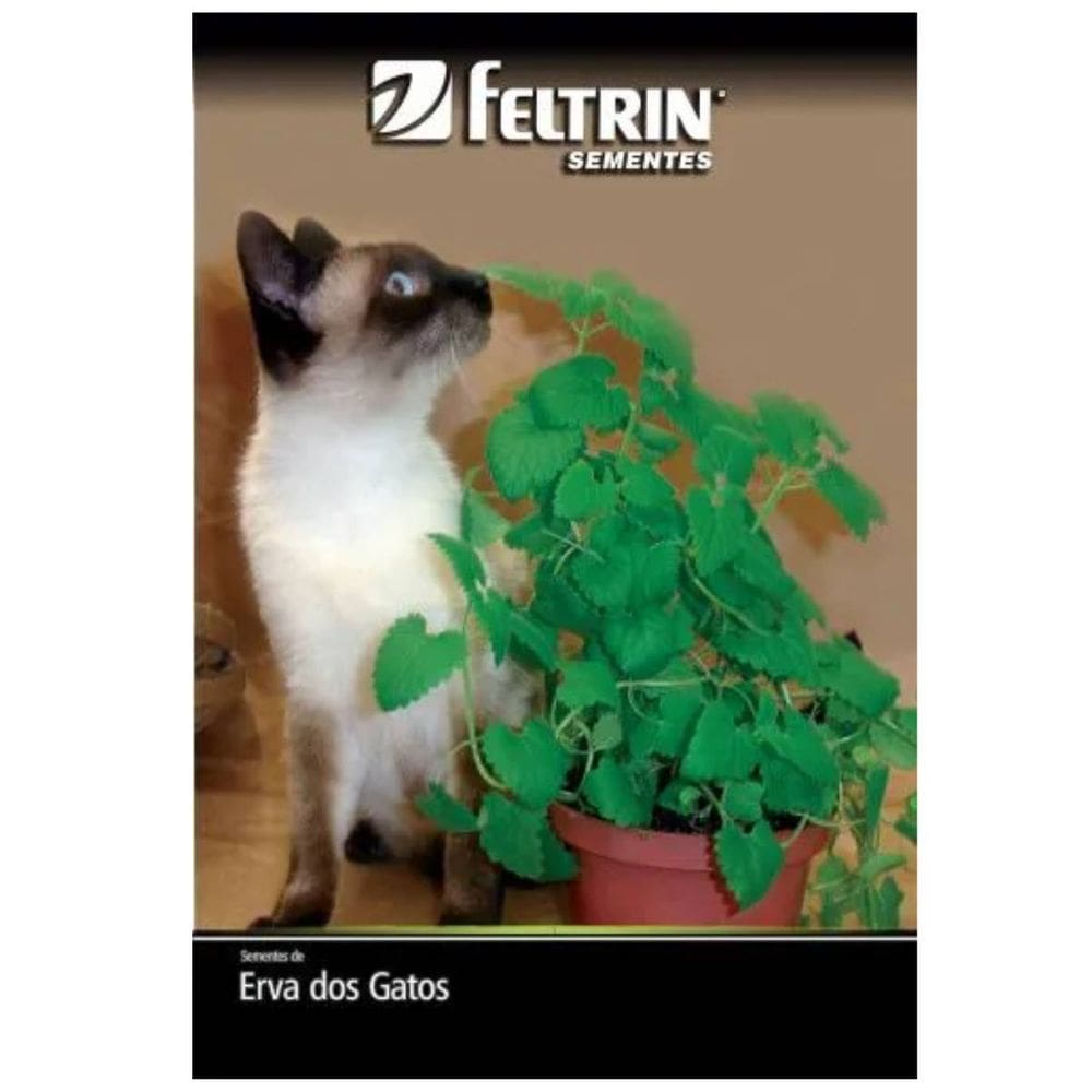 Sementes de Erva dos Gatos FELTRIN