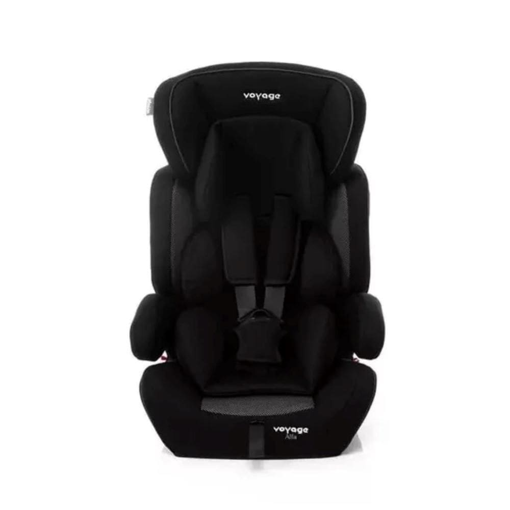 Cadeirinha Infantil Para Automóvel Alfa Voyage Dorel