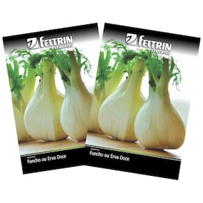 2X Sementes de Erva-Doce (Funcho de Florença) FELTRIN