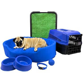 Kit Pet Médio Cama Europa com Sanitário Grama e Transporte