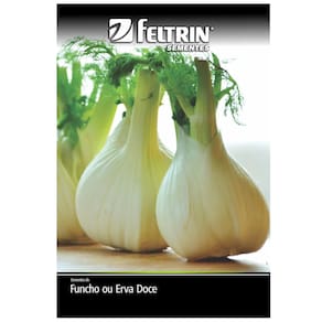 Sementes de Erva-Doce (Funcho de Florença) FELTRIN