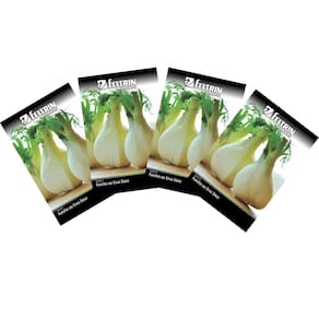 4X Sementes de Erva-Doce (Funcho de Florença) FELTRIN