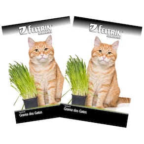 2X Sementes de Grama dos Gatos FELTRIN
