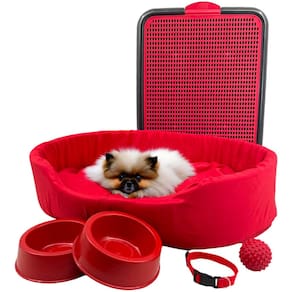 Kit Pet Pequeno Cama Europa Sanitário Comedouro Coleira Bola