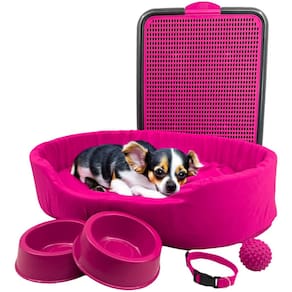 Kit Pet Pequeno Cama Europa Sanitário Comedouro Coleira Bola