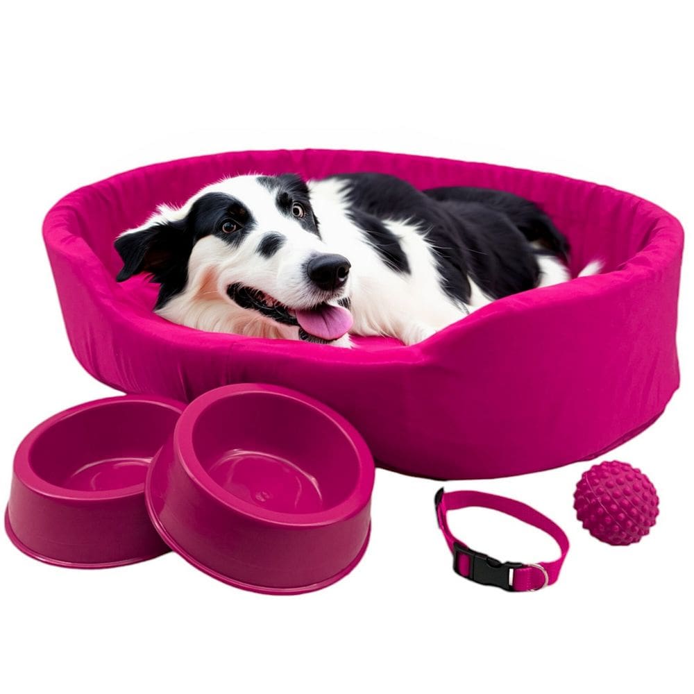 Kit Pet Grande Cama Europa Potes Água Ração Coleira Bolinha