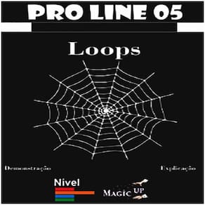 Loops Economicos