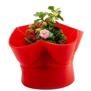 Cesto 2 Em 1 Silicone Flexível Multiuso Decoração Silikomart Cor:vermelho Vermelho