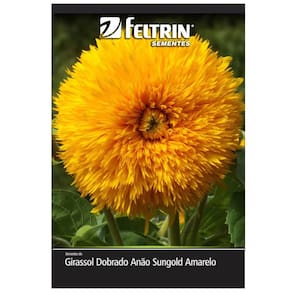 Sementes de Girassol Dobrado Anão Sungold FELTRIN