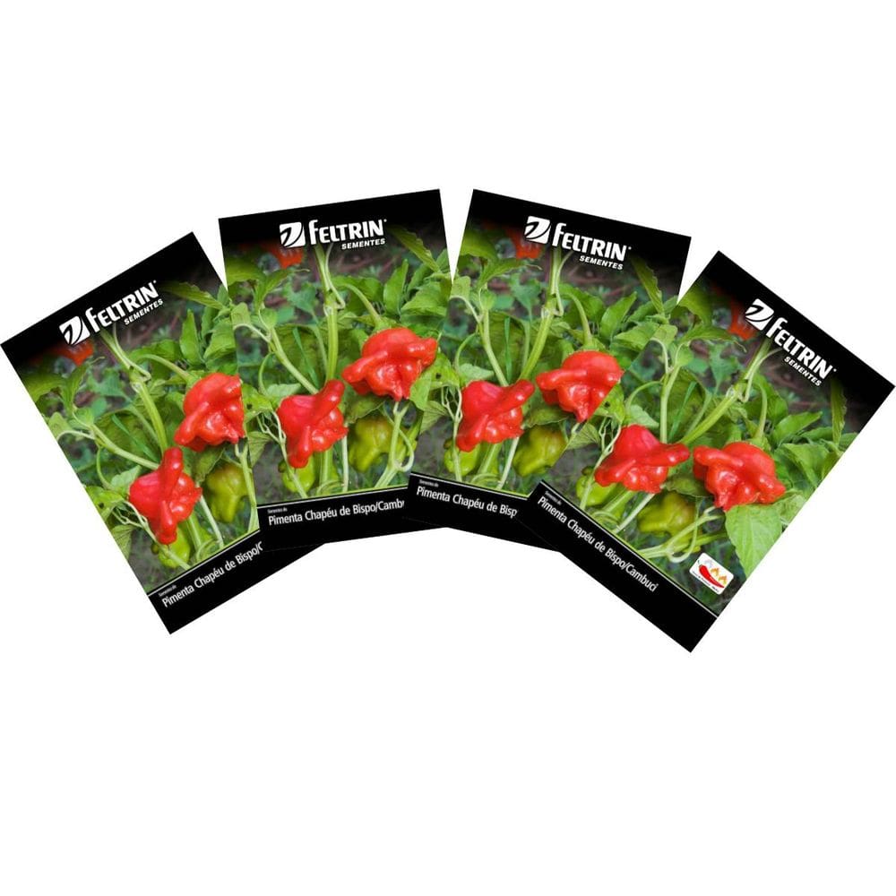 4X Sementes de Pimenta Chapéu de Bispo (Cambuci) FELTRIN