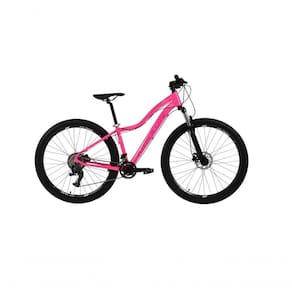 Bicicleta Aro 29 Feminina Absolute Hera 2x9 Freios Hidráulicos Garfo Com Trava Alumínio - Rosa Tam.17