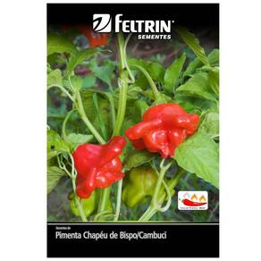 Sementes de Pimenta Chapéu de Bispo (Cambuci) FELTRIN
